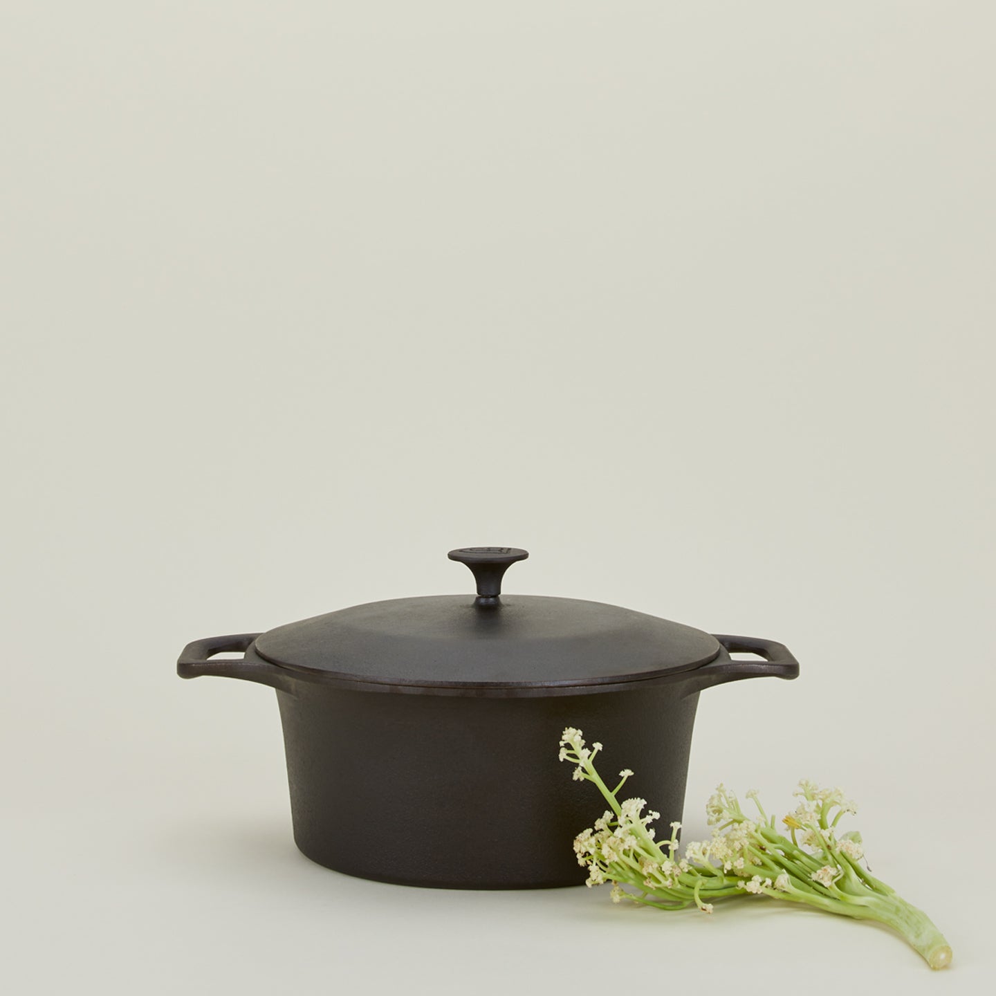 Cast Iron Dutch Oven