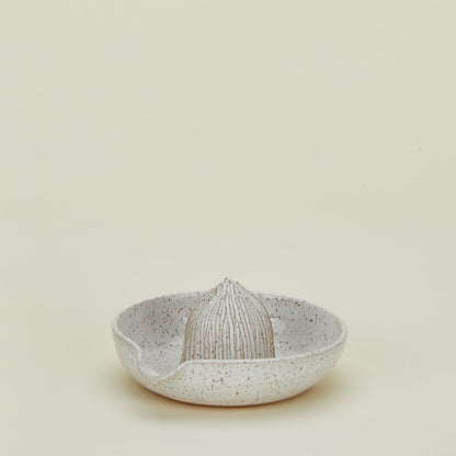 Citrus Juicer - White