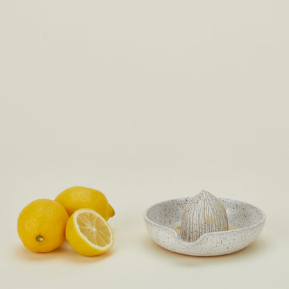 Citrus Juicer - White